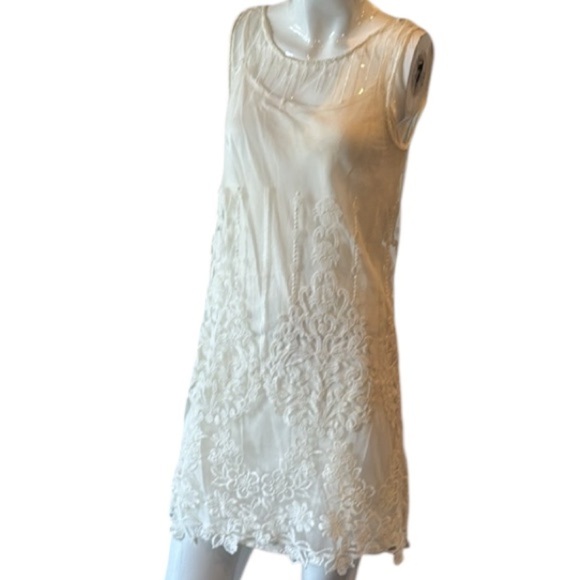 Free People Troy Ivory Embroidered Lacey Mesh Mini Slip Dress Size XS - Picture 12 of 15